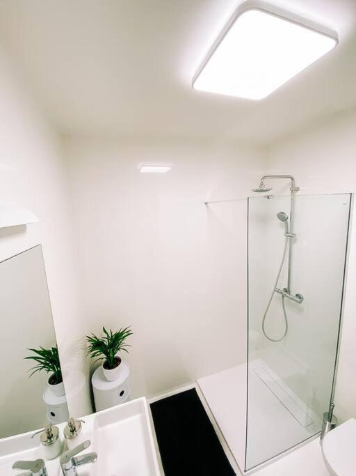 New Studio In Quiet Part Of The City Center Братислава Екстериор снимка